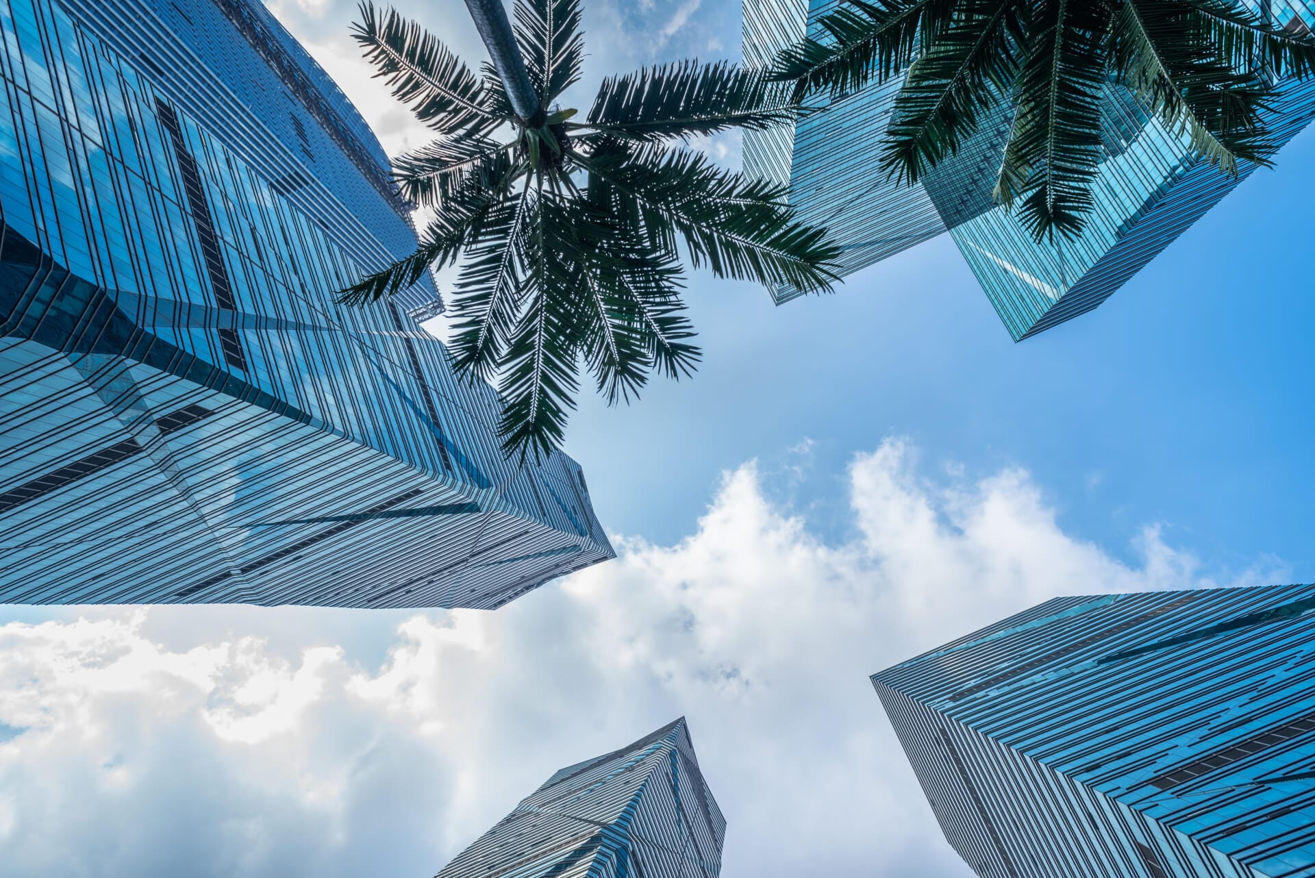 تأسيس شركات واستثمار أجنبي في السعودية أفضل